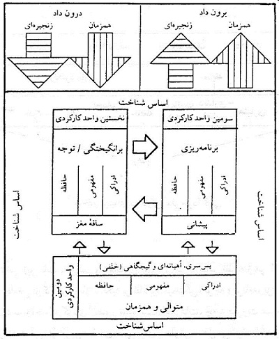 زبان و طرحريزي رفتار