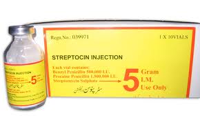 استرپتومايسين (STREPTOMYCIN)