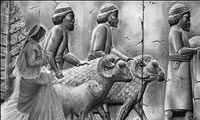  رفاه اجتماعي در ايران کهن