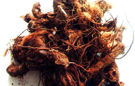 خواص دارويي گياه انجباز