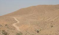 زیست بوم خور