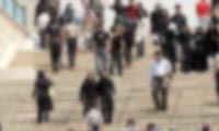 عوامل اجتماعي شدن
