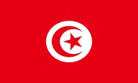 تونس: TUNISIA (.tn)