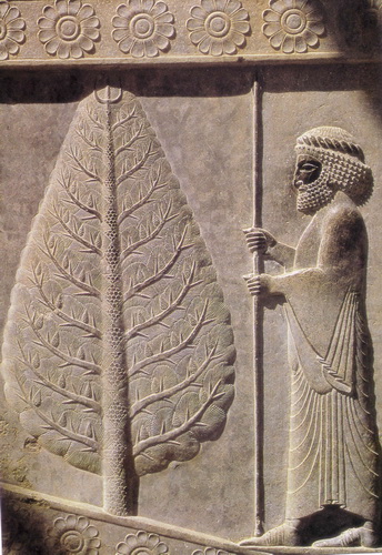  نمادشناسی هنر هخامنشی