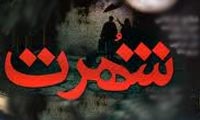  زيان شهرت