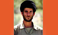  خدمت با نام ديگران