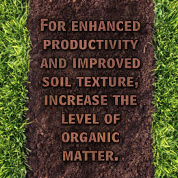 روش‌های بهبود بخشیدن سلامت خاک