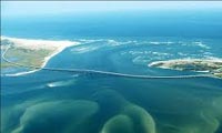 نمودار زنجیره‌ی غذایی اقیانوسی