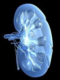درمان کیست کلیه