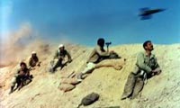  از اصطلاحات بي زارم