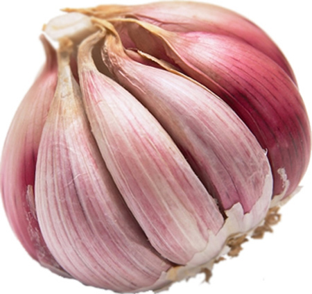 سير