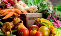 اهمیت تغذیه