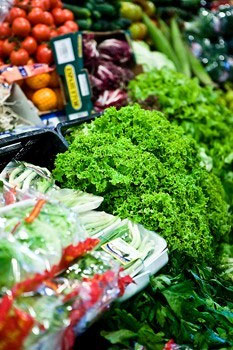اهمیت تغذیه