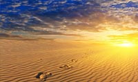 آثار تغییرات آب و هوا