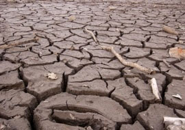 آلودگی زمین