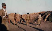 آقاي گل مسابقات