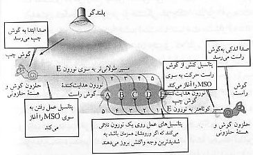احساس، ادراك و عمل