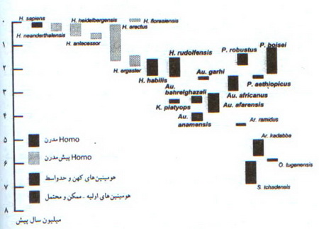 هومينين هاي كهن