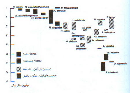 انسان كهن