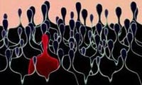 هويت اجتماعي هويت اجتماعي
