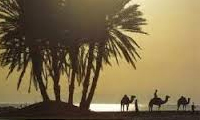 عصر تجدّد ادبیات عرب عصر تجدّد ادبیات عرب