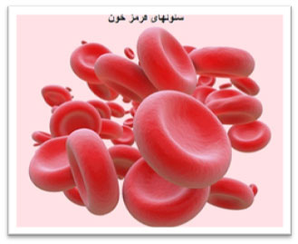 تخصصی شدن سلول  همراه با مثال