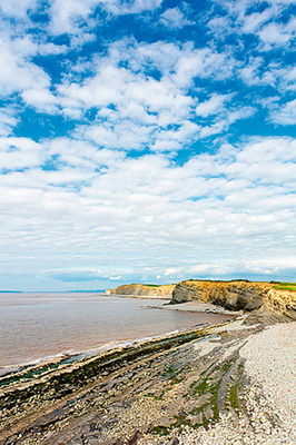   بهترین تکنیک های فوکوس