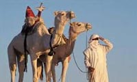 پیدایش زبان عربی