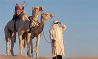 شعر غنایی جاهلی شعر غنایی جاهلی