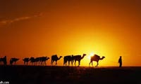 سجع کاهنان عربی سجع کاهنان عربی