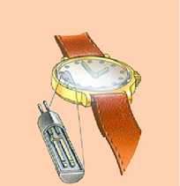 قسمت‌های مختلف ساعت مچی چیست؟