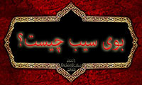 بوی سیب چیست؟