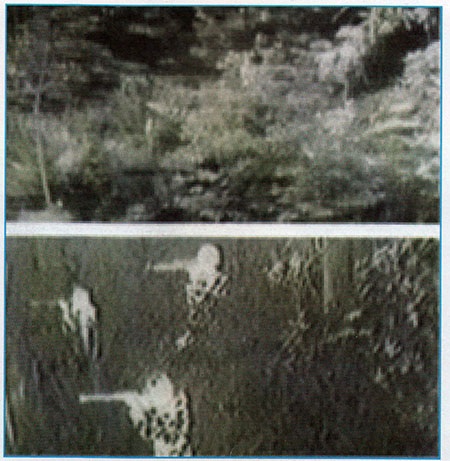  تشعشعات مادون قرمز حرارتی تهدیدی برای سامانه‌های موشکی