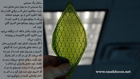  برگ‌های بی جانی که فتوسنتز می‌کنند