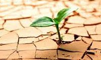 مرزهای امید مرزهای امید