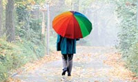 برگسون جدید برگسون جدید