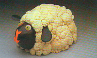  بره‌ی گل کلمی