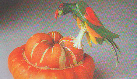  طوطی کدو و فلفل