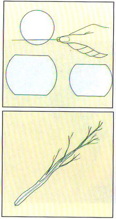  آدم برفی شلغمی