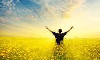 خوشبختی و معنای زندگی