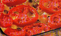  کیش تابستانی