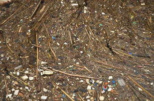 آلوده‌ترین رودخانه‌های جهان