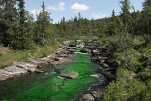 آلوده‌ترین رودخانه‌های جهان