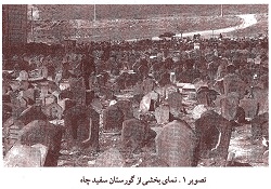 دروازه‌های زاد و مرگ