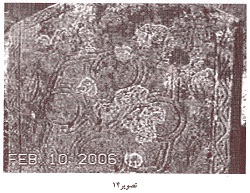 دروازه‌های زاد و مرگ