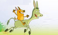 شغال خرسوار شغال خرسوار