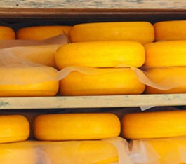 مواد لازم برای درست کردن پنیر