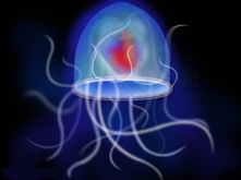 موجودات دریایی با طول عمر باور نکردنی