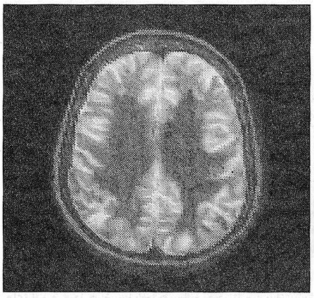 نگرش گشتالتی و ادراك