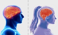 مغز مردان با مغز زنان چه تفاوتی دارد؟